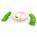 FIBERM Splitter PLC 1/12 SC/APC